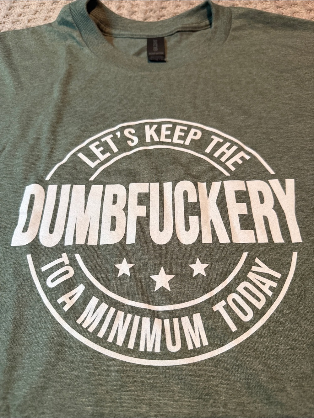 Gildan Heavy Cotton Let's Keep The Dumbfuckery To A Minimum Today T-Shirt